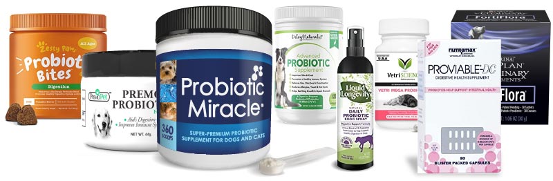 dog probiotics supplement reviews 2020