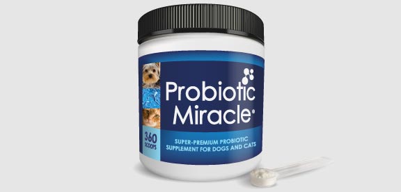 editor's choice probiotics dogs